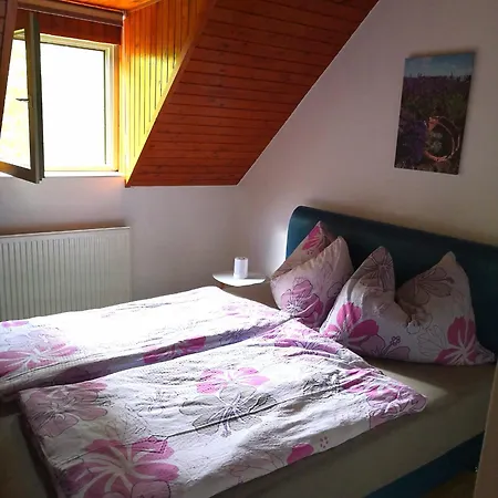 Penzion Elisabeth Vendeghaz