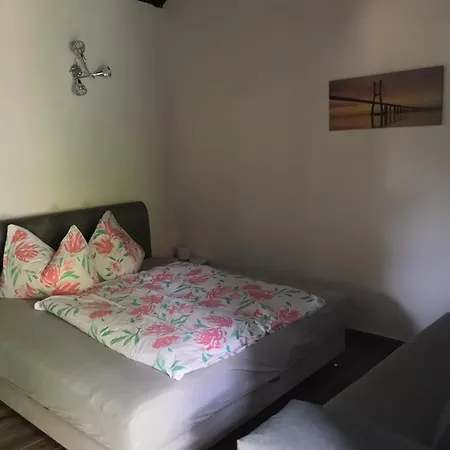 Guest house Elisabeth Vendeghaz *