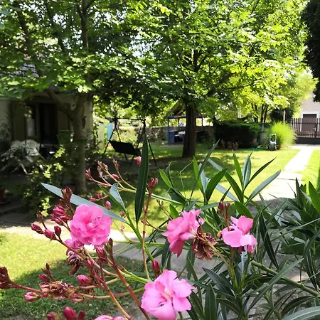 Elisabeth Vendeghaz 3*