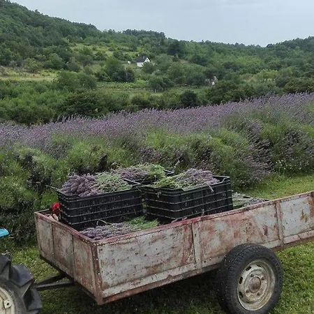 Penzion Elisabeth Vendeghaz Balatonudvari
