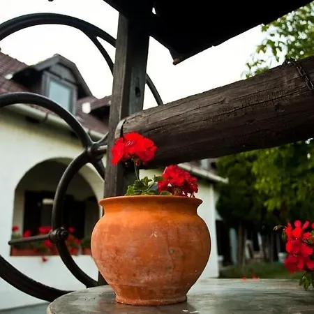 Elisabeth Vendeghaz Penzion