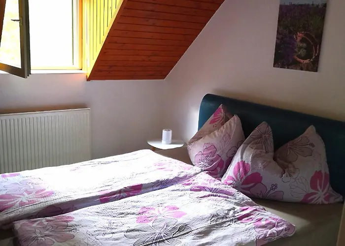 בית הארחה Elisabeth Vendeghaz