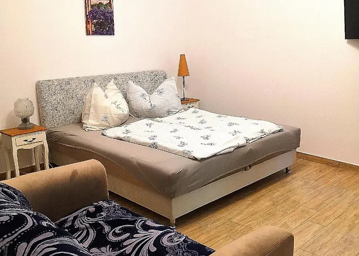 בית הארחה Elisabeth Vendeghaz 3*