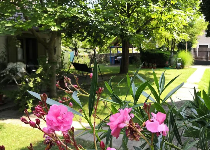 Elisabeth Vendeghaz 3*