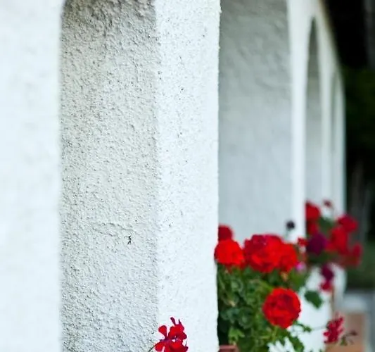 בית הארחה Elisabeth Vendeghaz