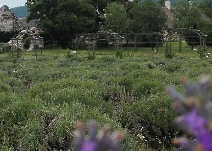 Elisabeth Vendeghaz 3*