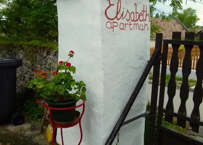 Elisabeth Vendeghaz בלטונודבארי