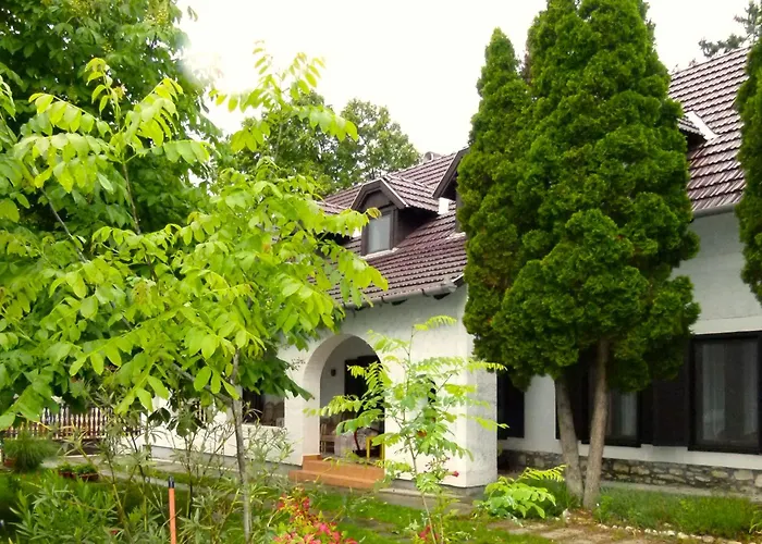 Elisabeth Vendeghaz בלטונודבארי