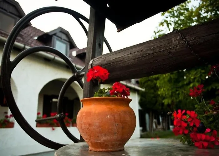 Elisabeth Vendeghaz בית הארחה